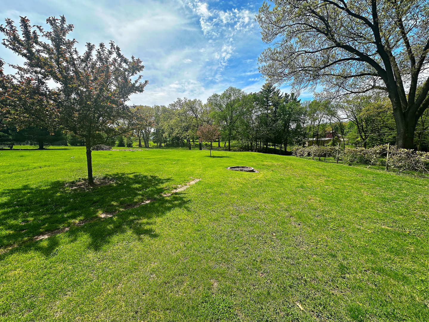 1105 Oakley Avenue Property Photo 19