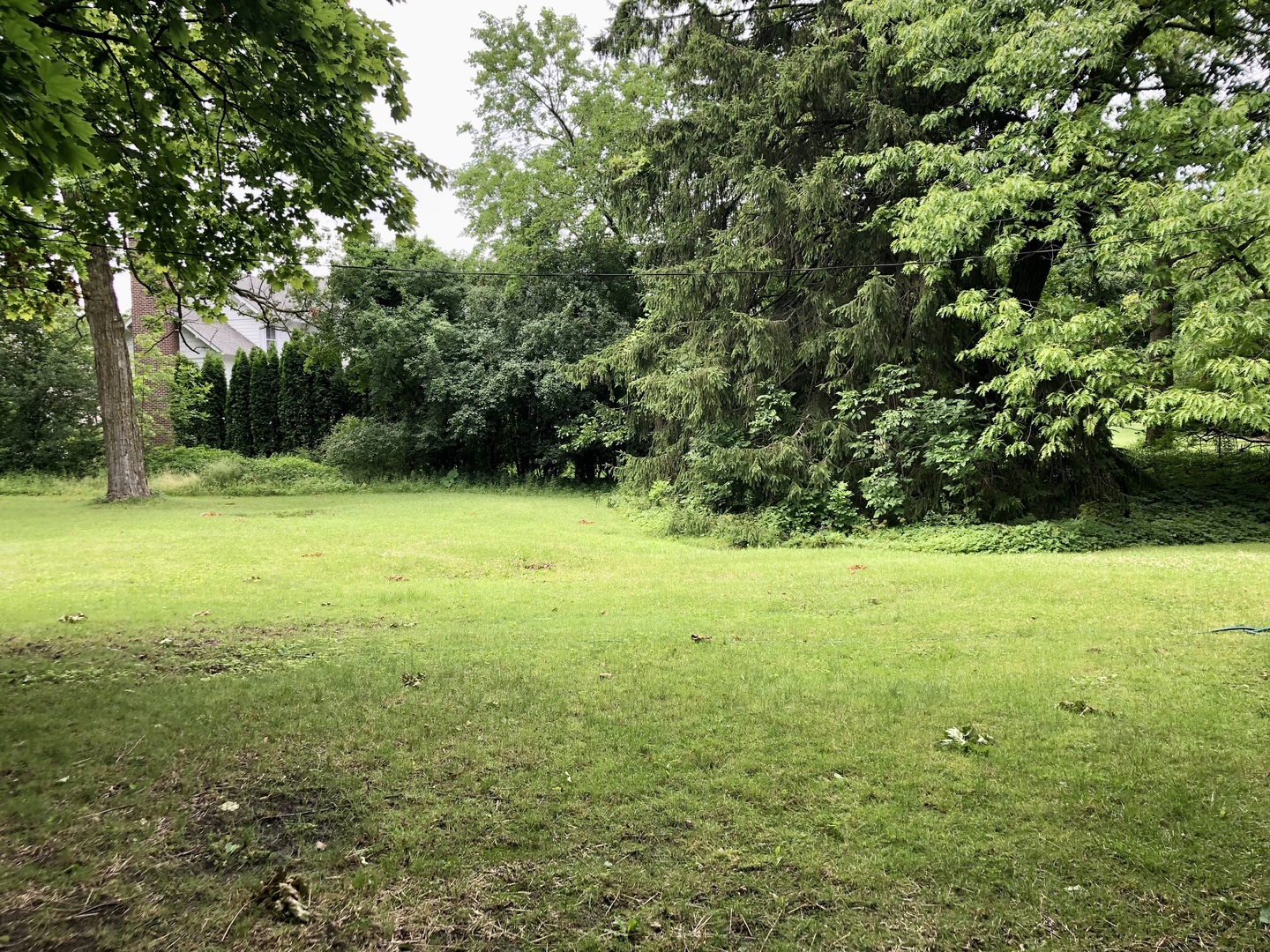 870 Woodbine Lane Property Photo