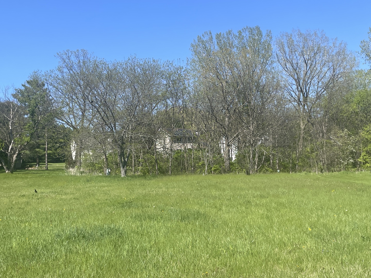 915 Candlewick Drive Property Photo 2
