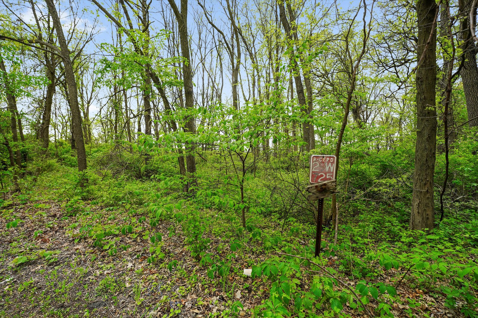 29w725 Army Trail Road Property Photo 6