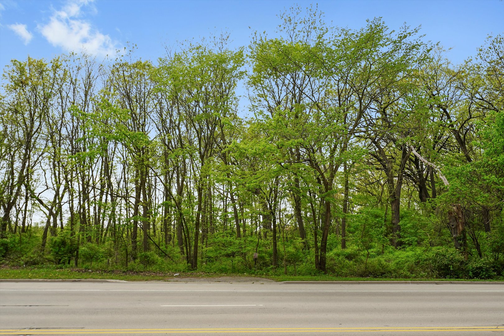 29w725 Army Trail Road Property Photo 10