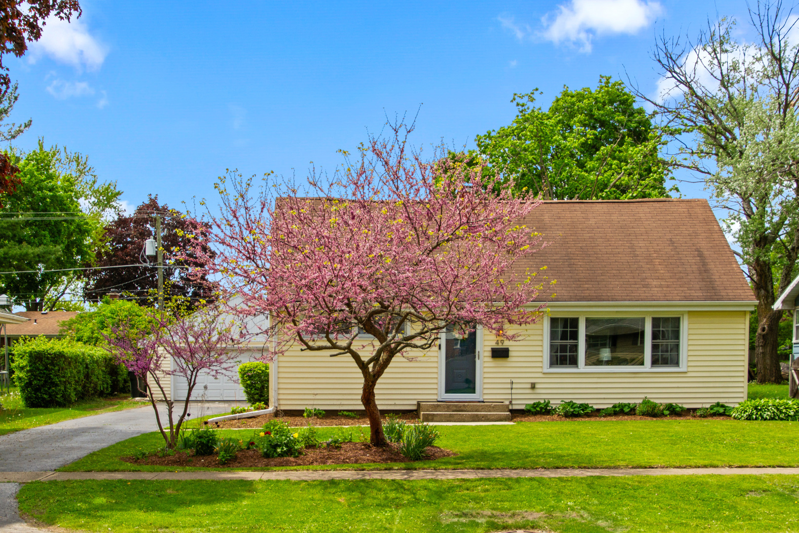49 Burton Avenue Property Photo 27