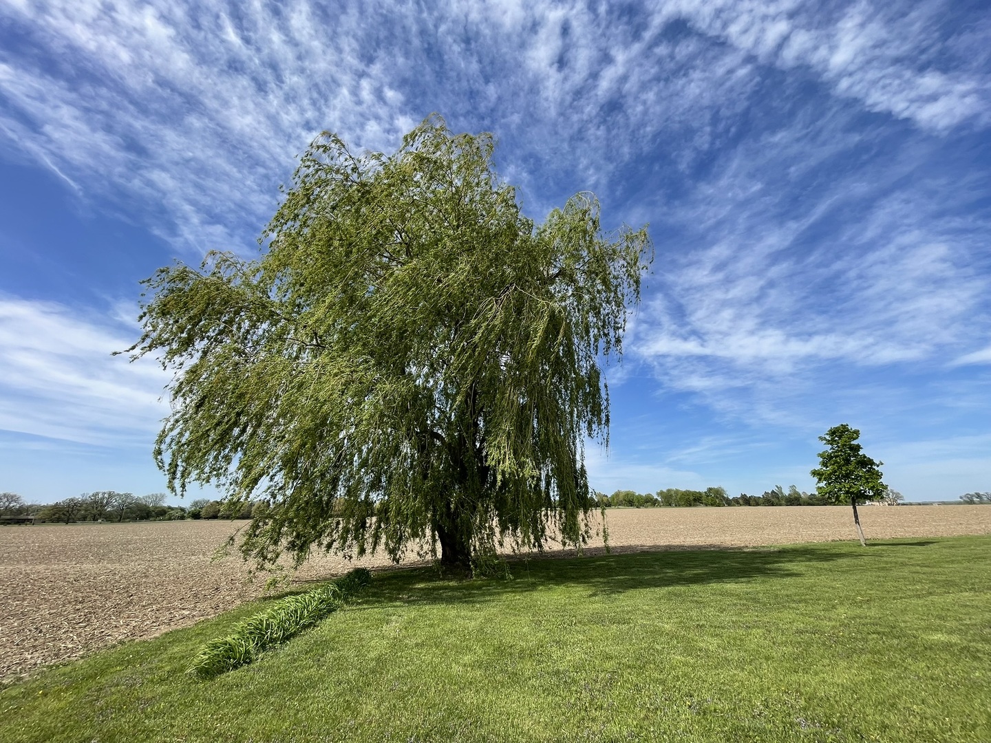 6808 S Oak Grove Road Property Photo 7