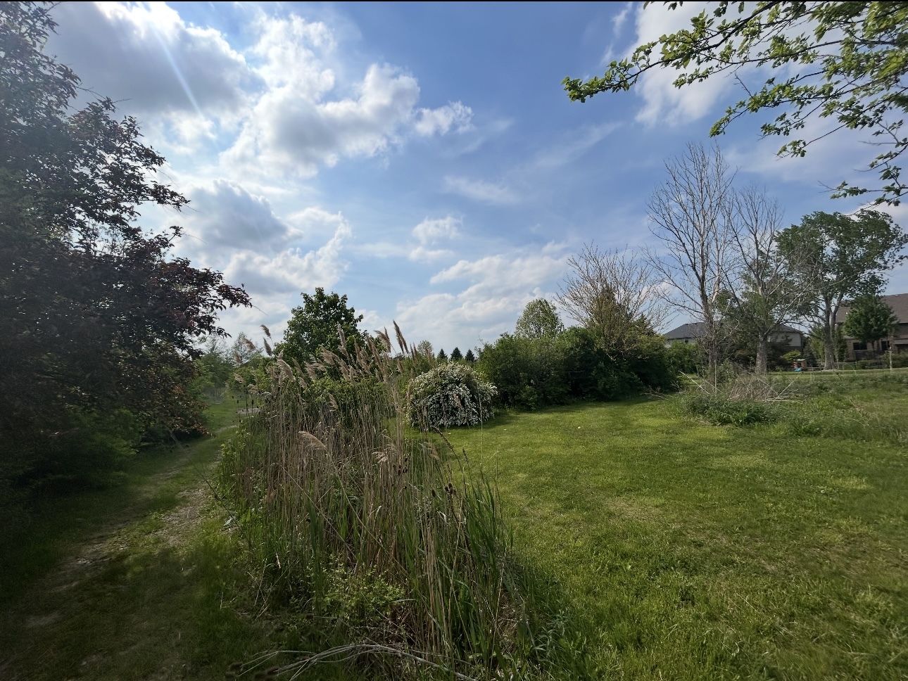 00 Owens Road Property Photo 3