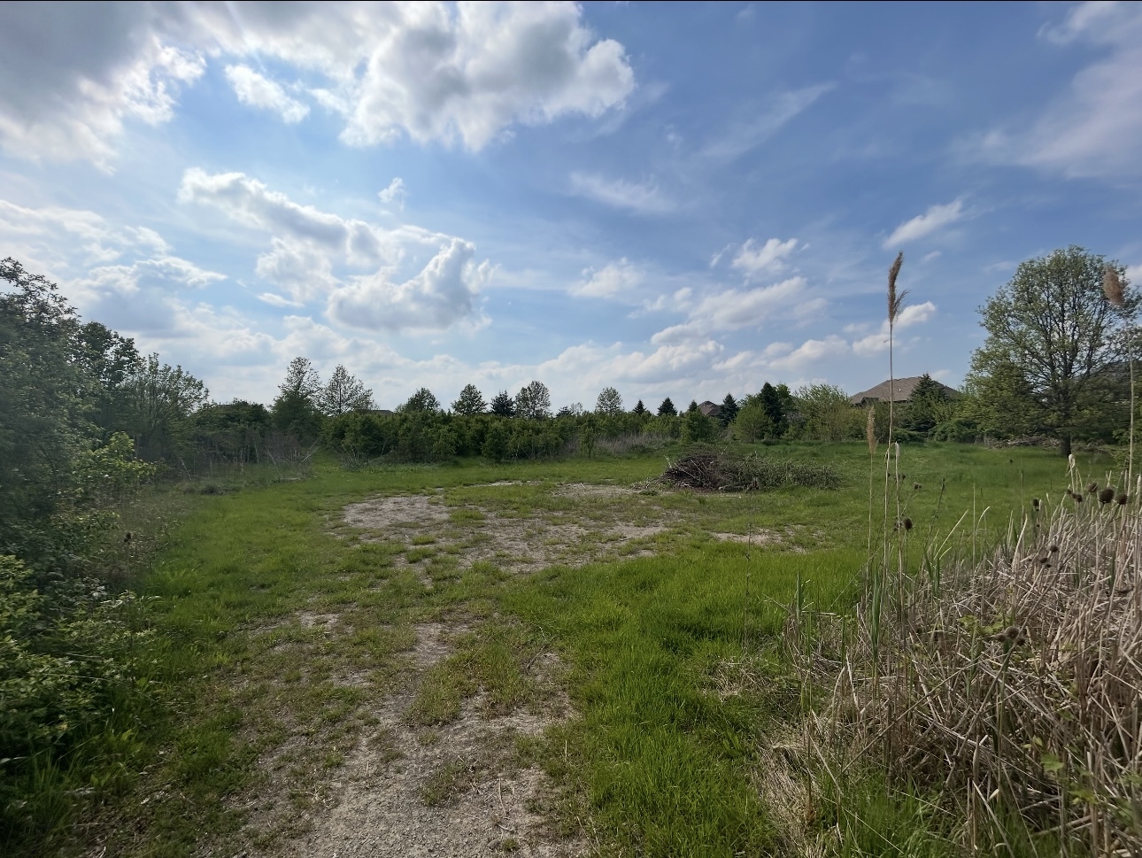 00 Owens Road Property Photo 6
