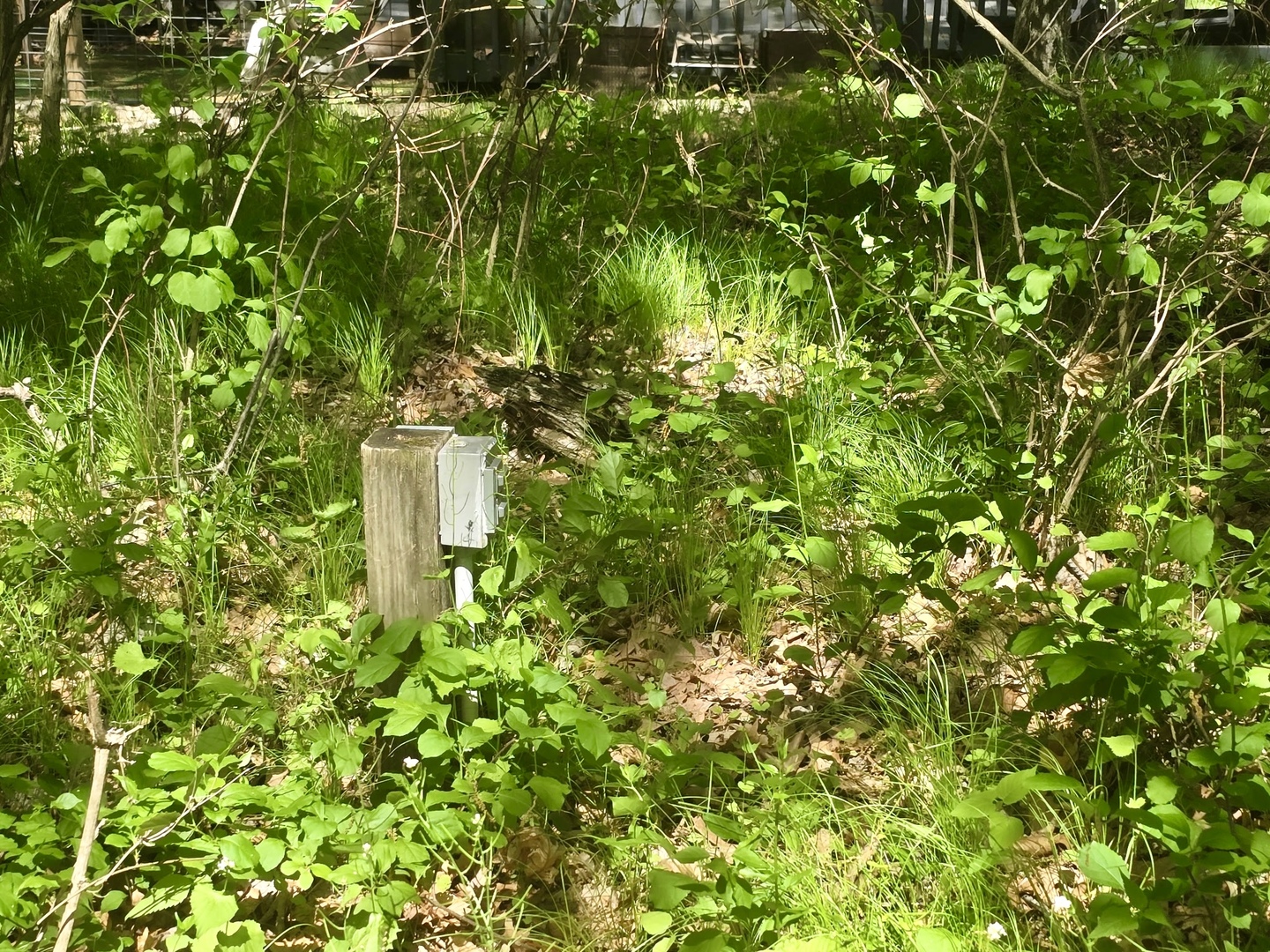 16/59 Woodhaven Property Photo 3