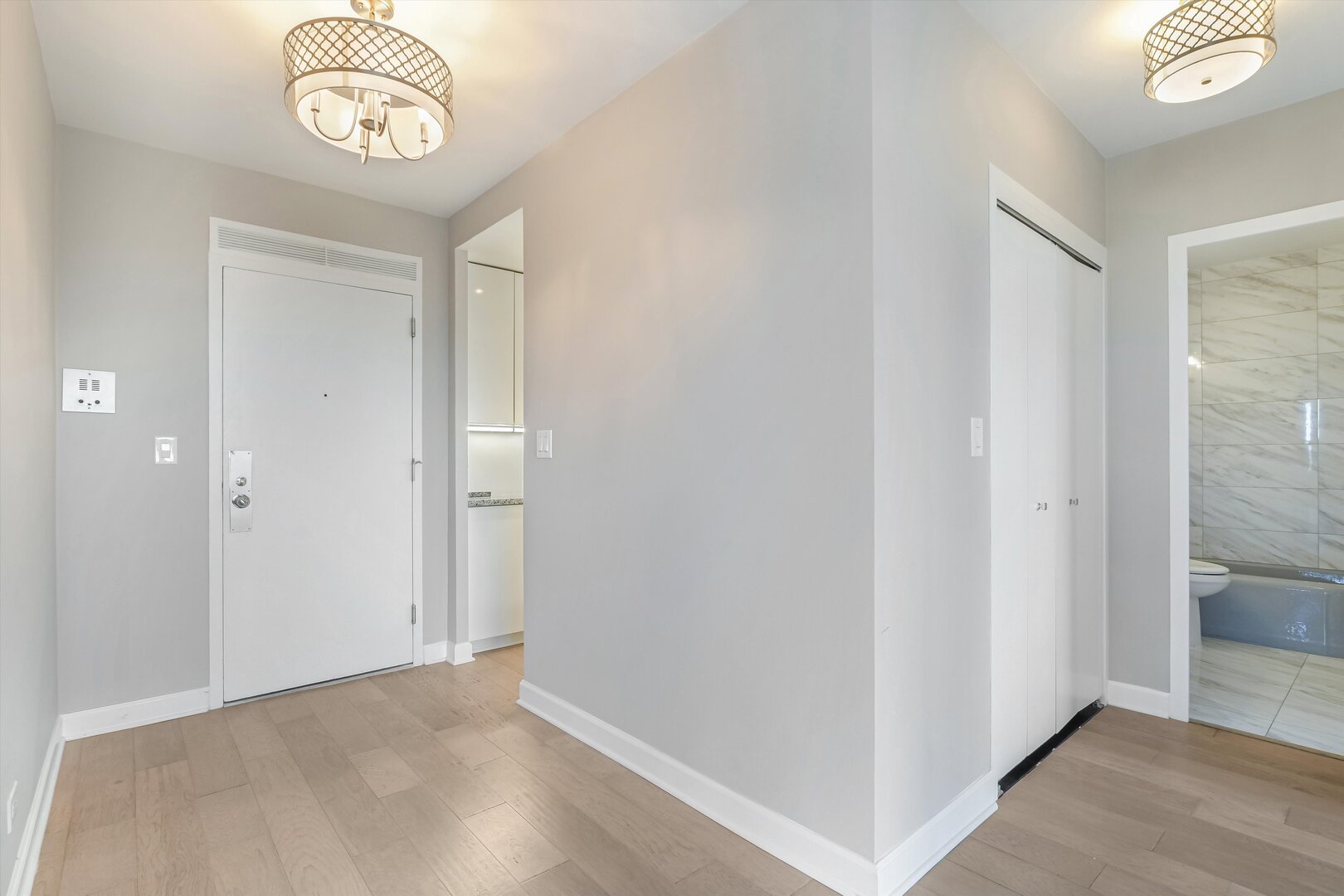 1550 N Lake Shore Drive 2a Property Photo 7