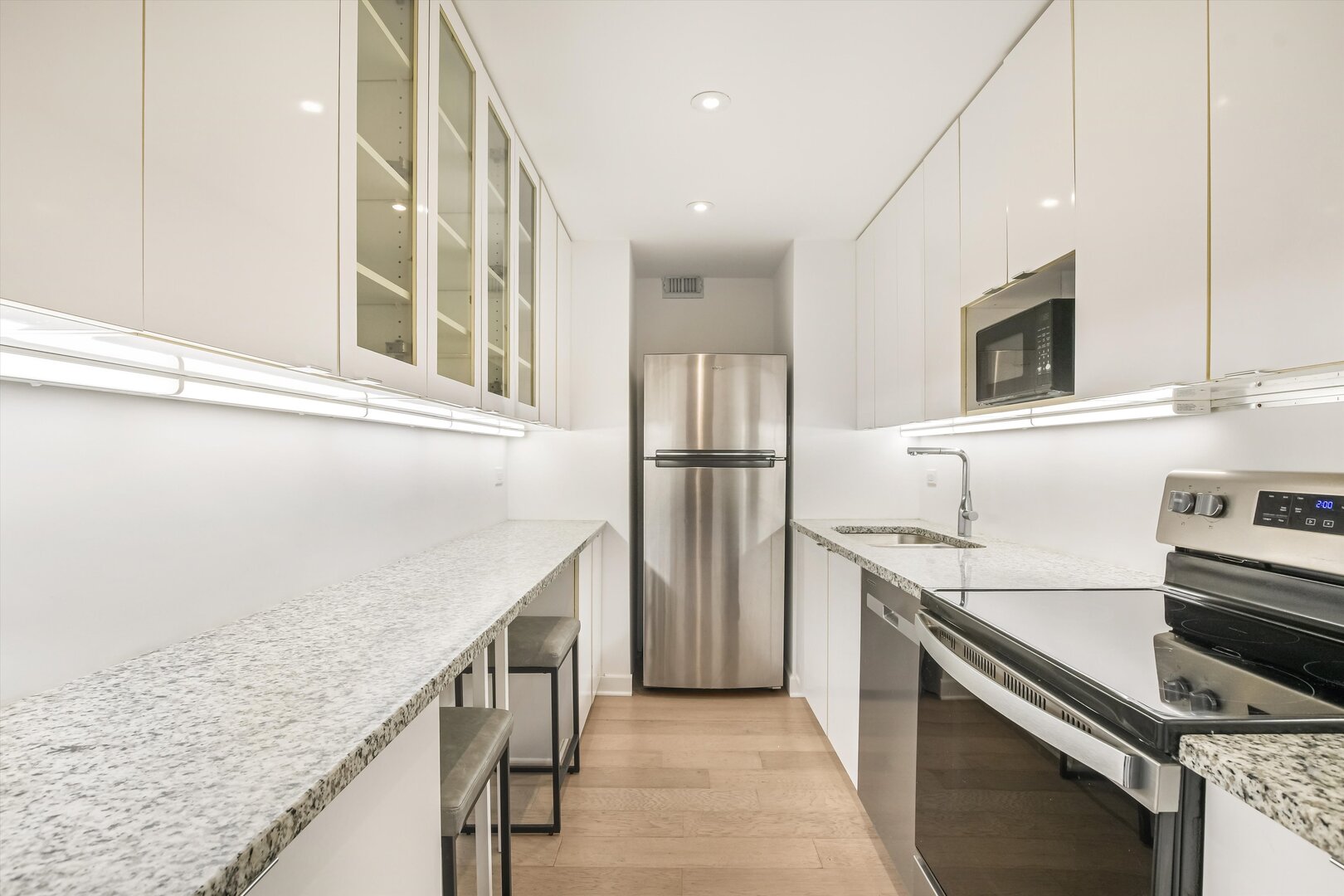 1550 N Lake Shore Drive 2a Property Photo 9