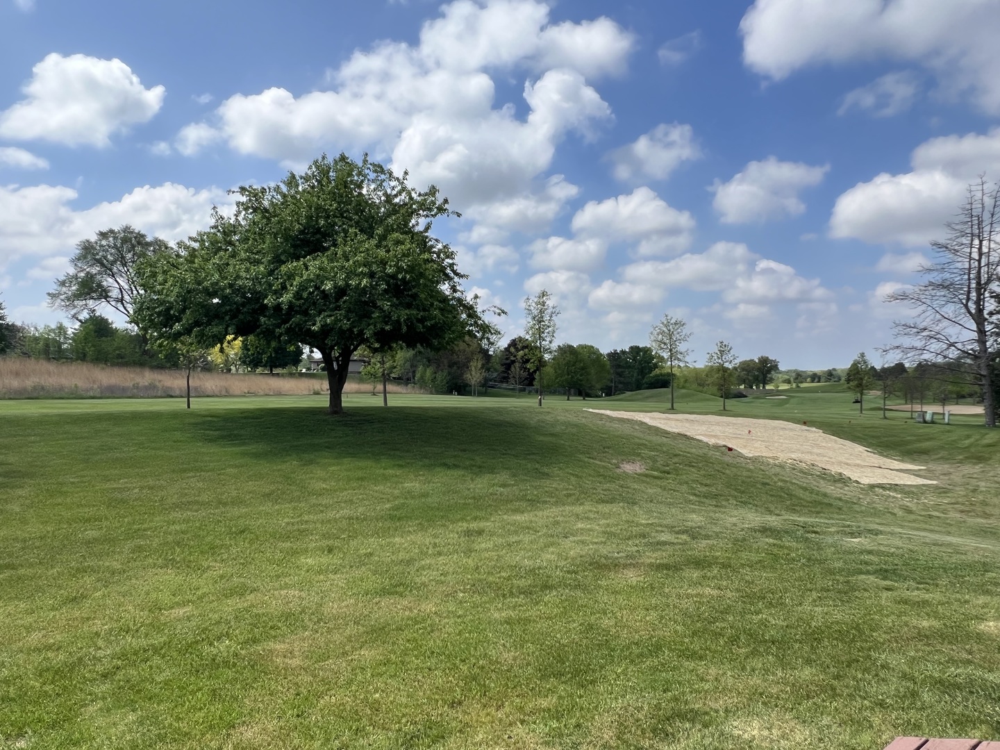 7427 Mccurry Road Property Photo 35