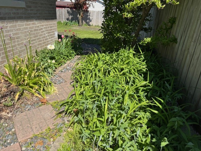 1841 Hawthorne Avenue Property Photo 19
