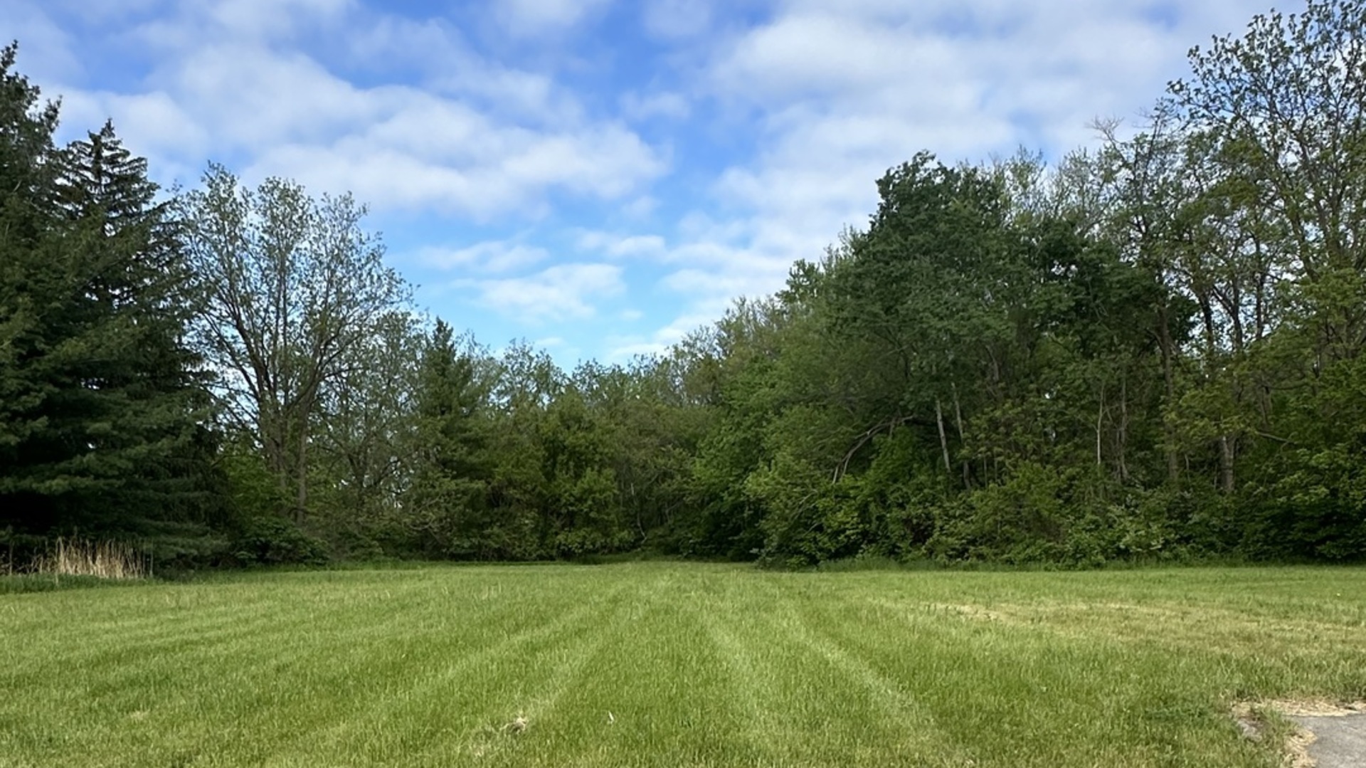 803 S Mulford Road Property Photo 4
