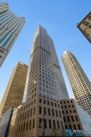 950 N Michigan Avenue 4401 Property Photo 1
