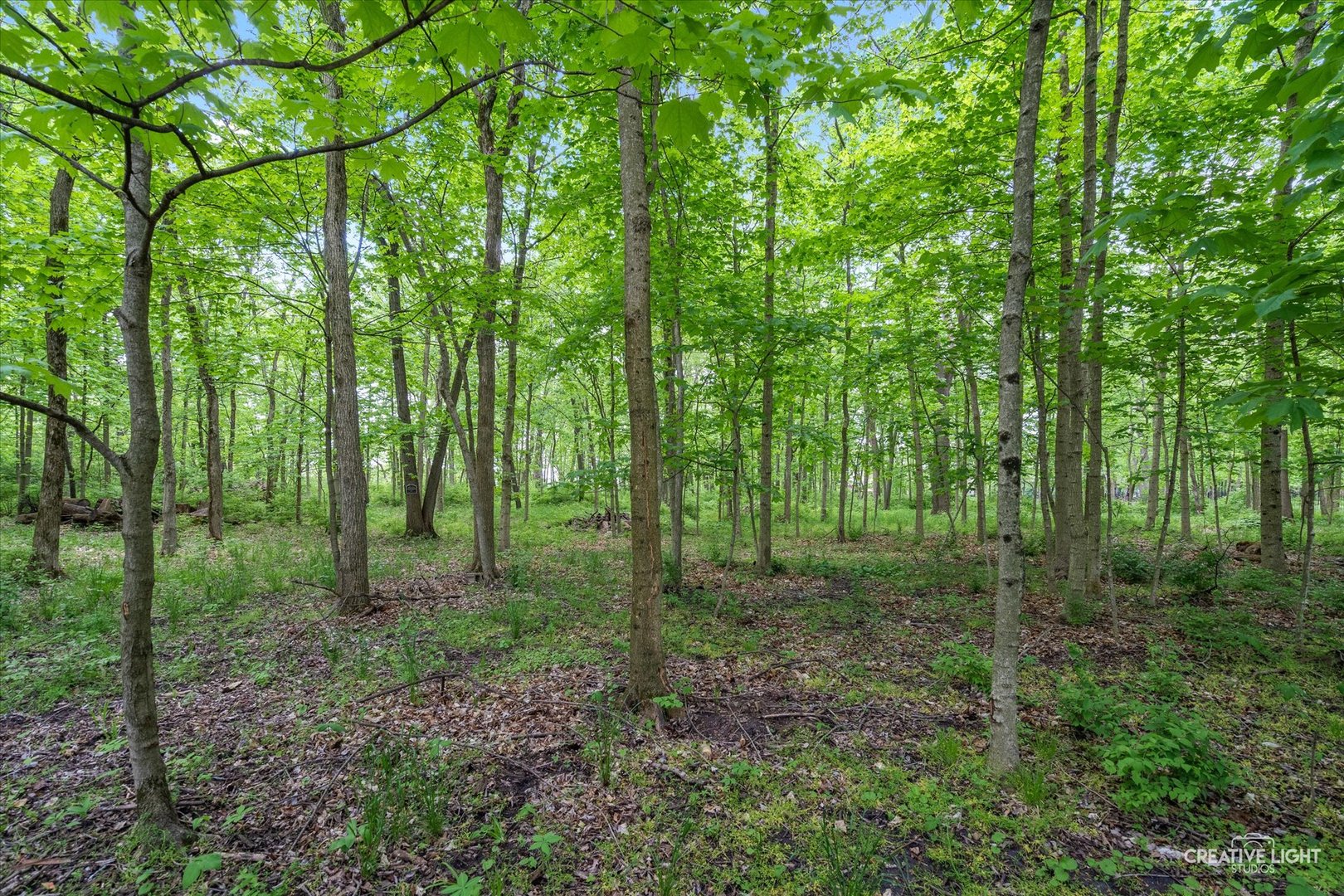 7351 Roberts Drive Property Photo 1