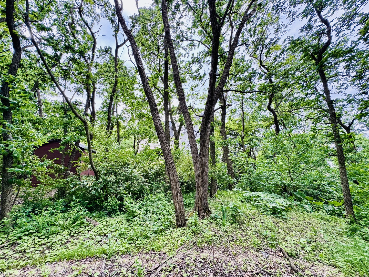 26628 S Kimberly Lane Property Photo 4