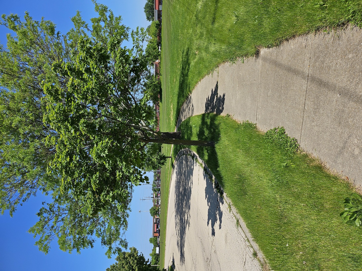 0 Kaper Drive Property Photo 2