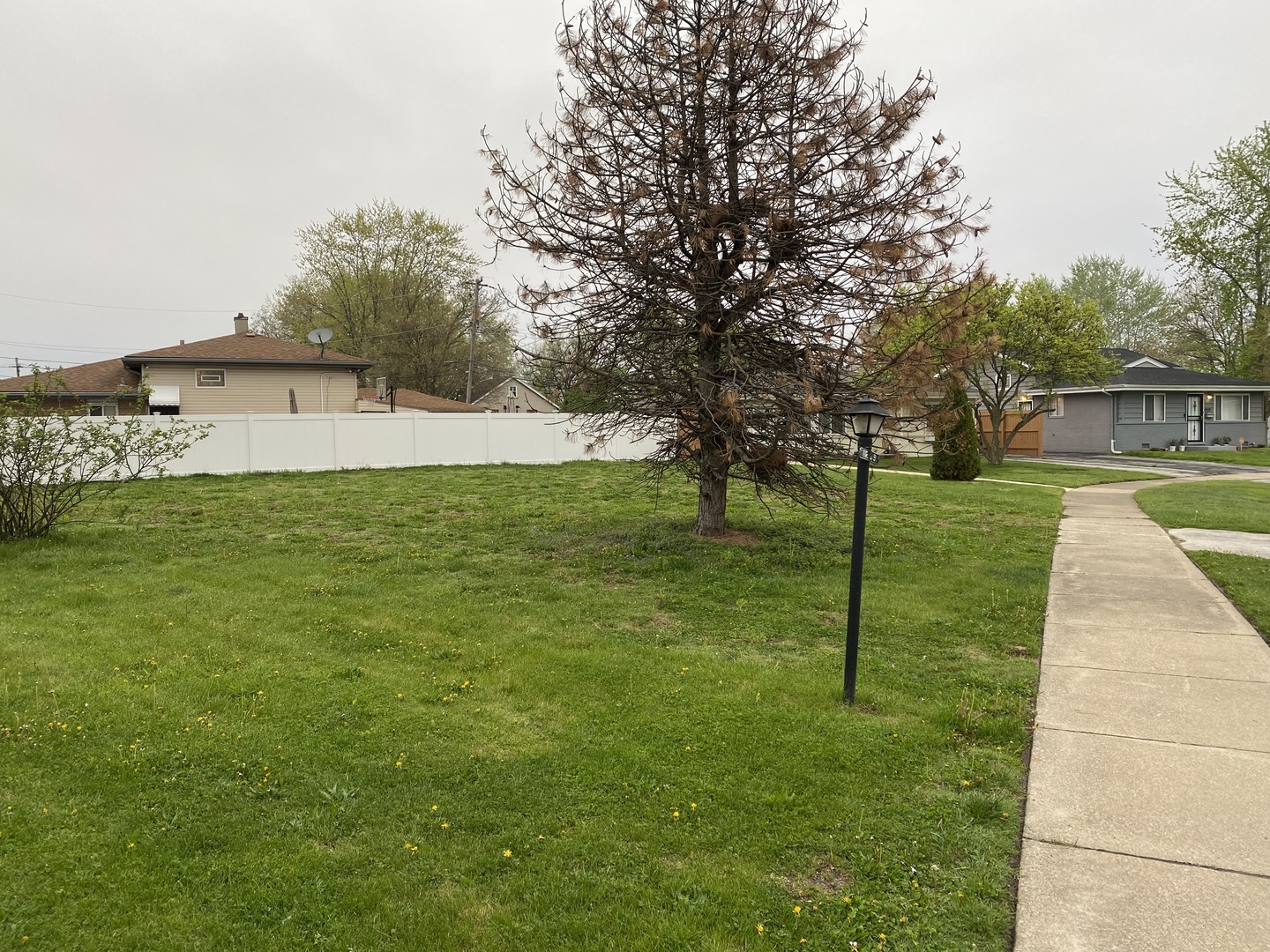 1229 Arthur Street Property Photo 4