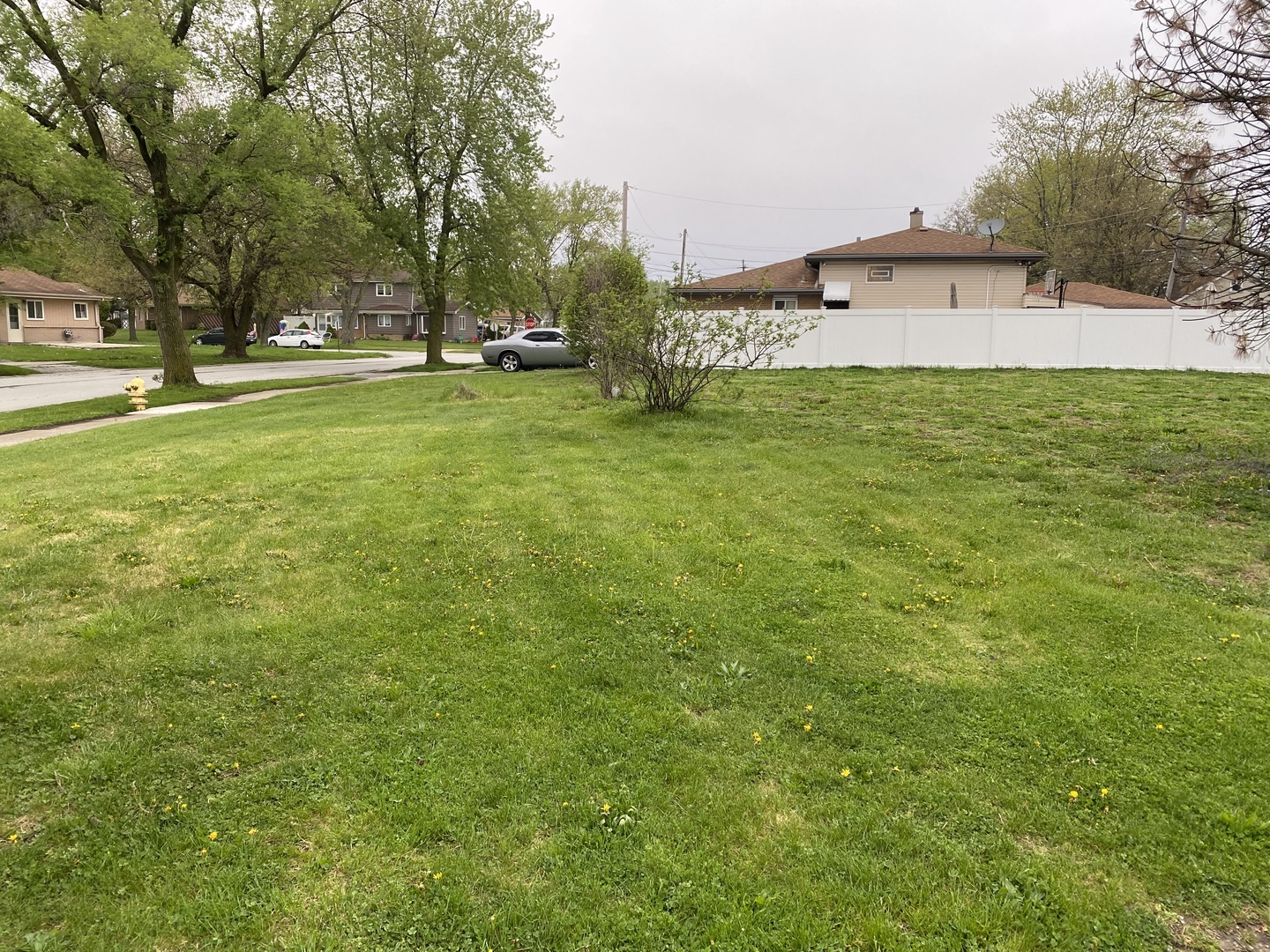 1229 Arthur Street Property Photo 7
