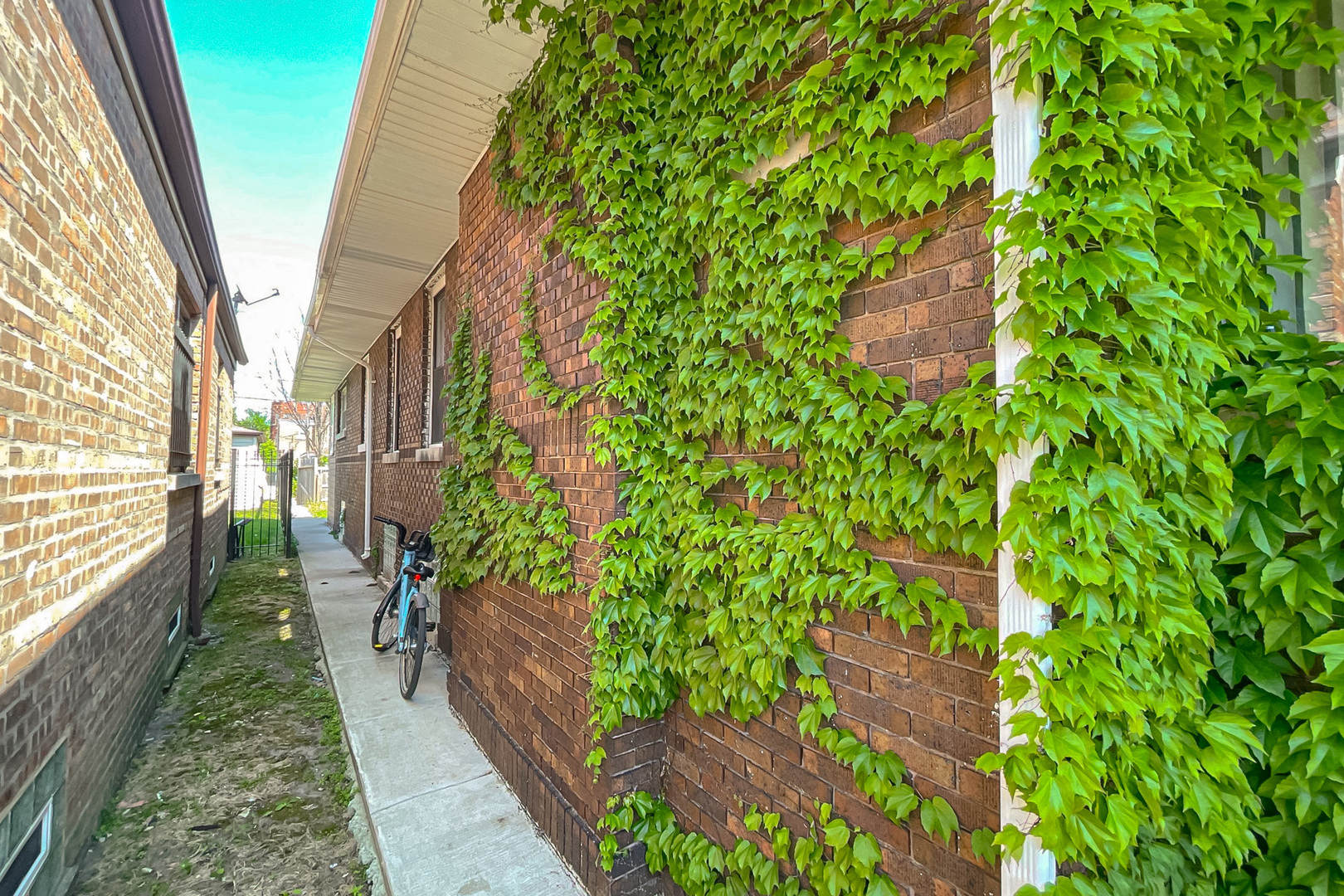 10817 S Forest Avenue Property Photo 15