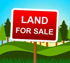 Lot 392 Lake Thunderbird Ws 2 Drive Property Photo 1