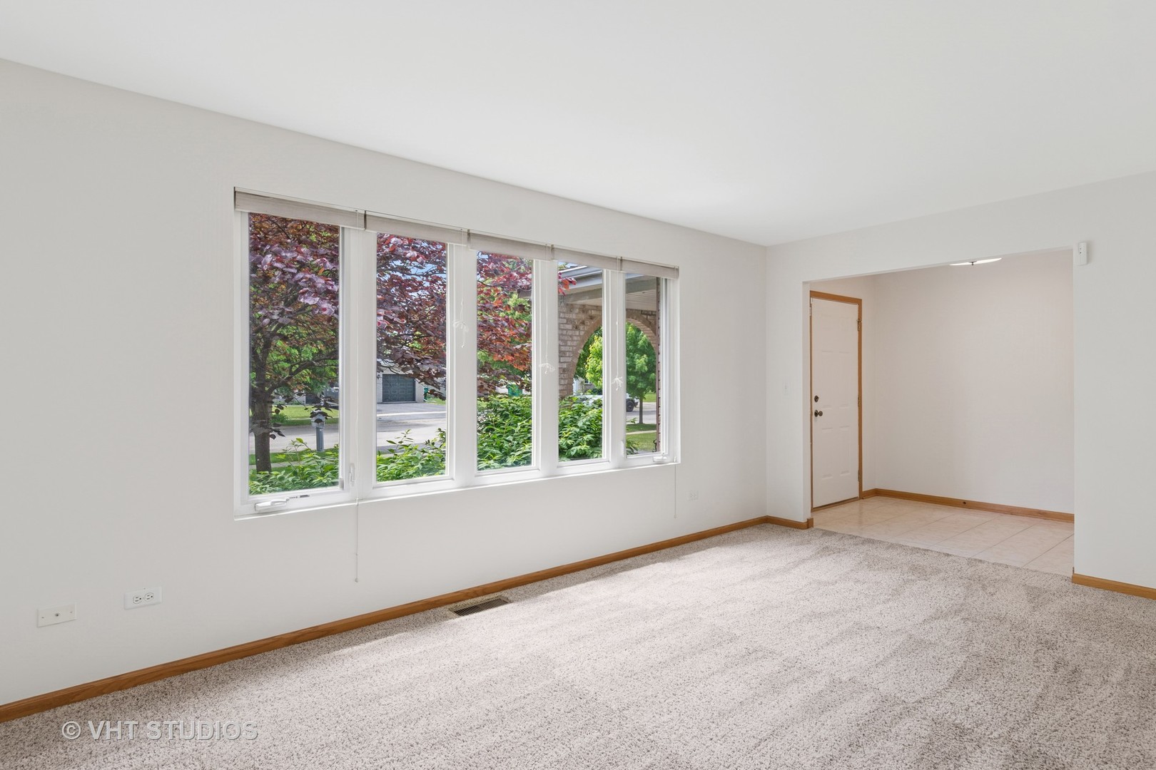 5203 Brighton Ln Property Photo 21