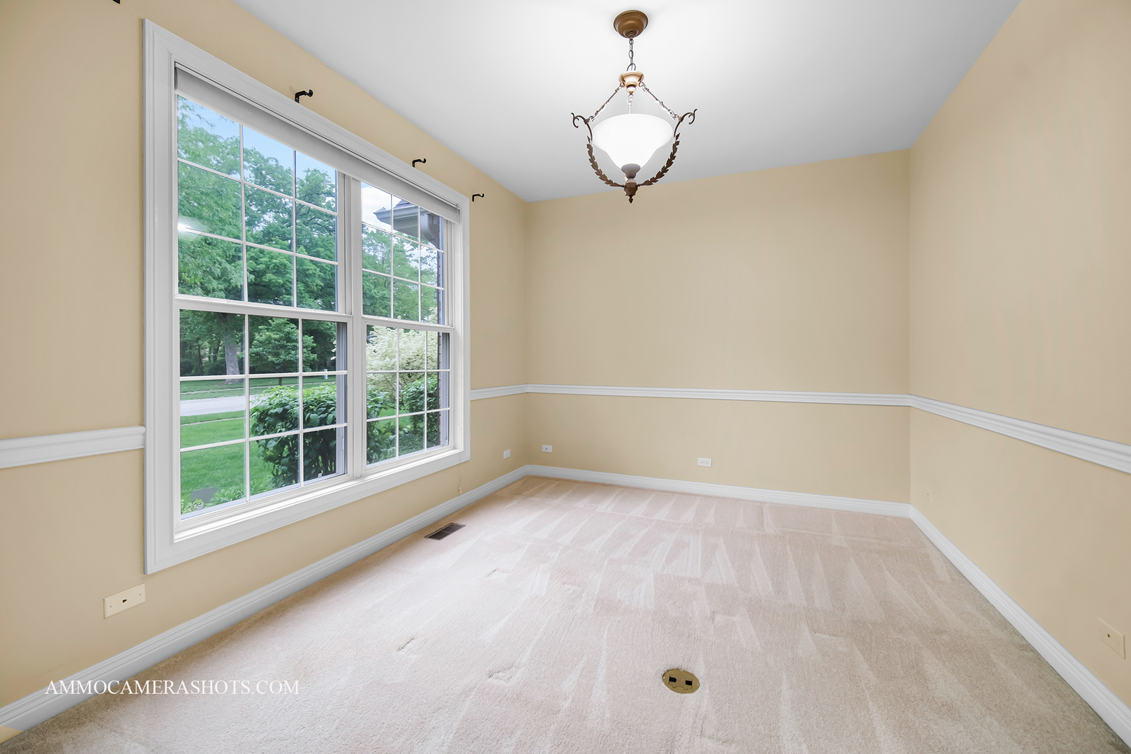 792 Black Walnut Drive Property Photo 29