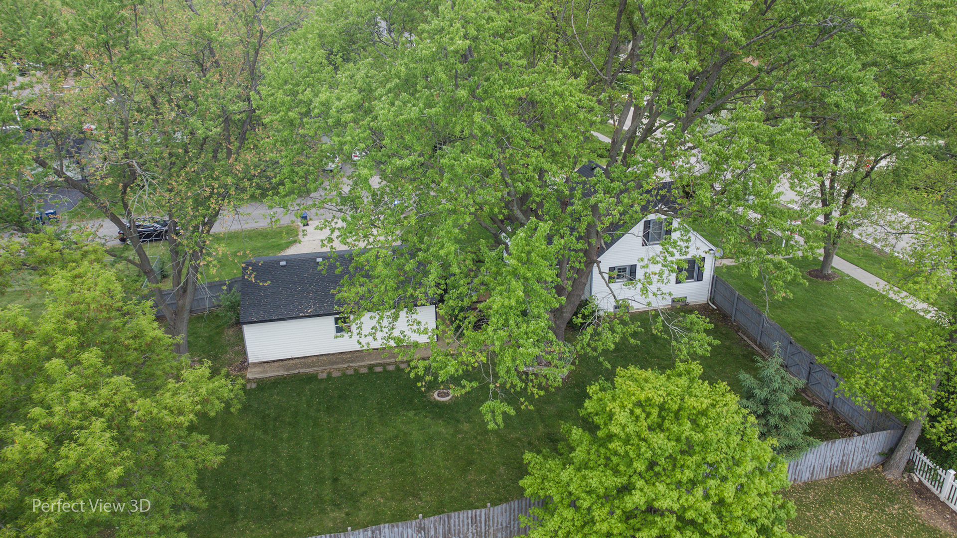 990 Magnolia Avenue Property Photo 22