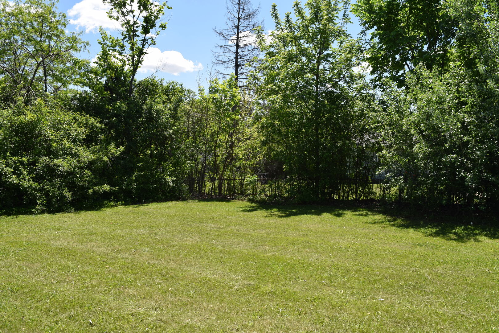 437 Rose Street Property Photo 3