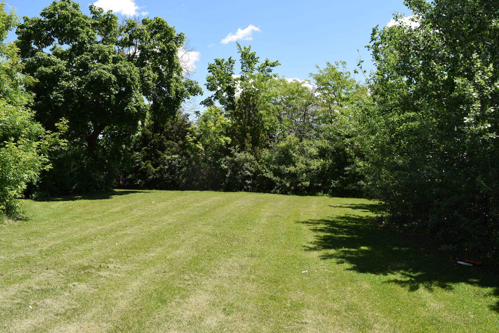 437 Rose Street Property Photo 4