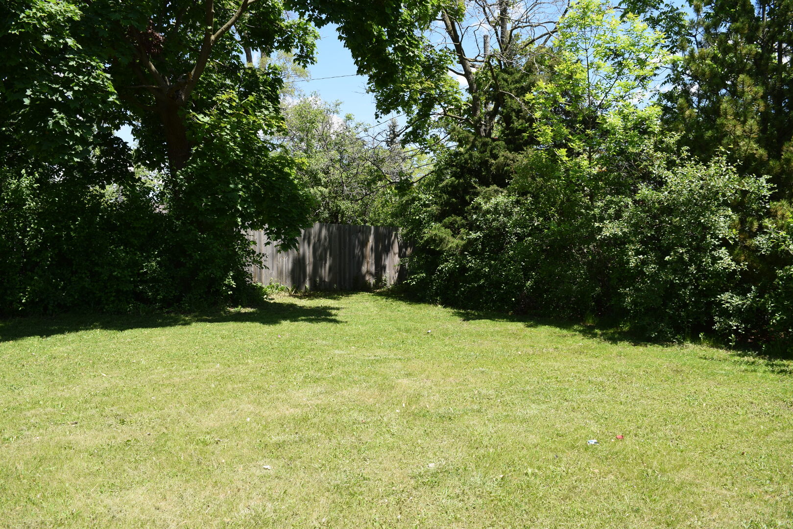 437 Rose Street Property Photo 5