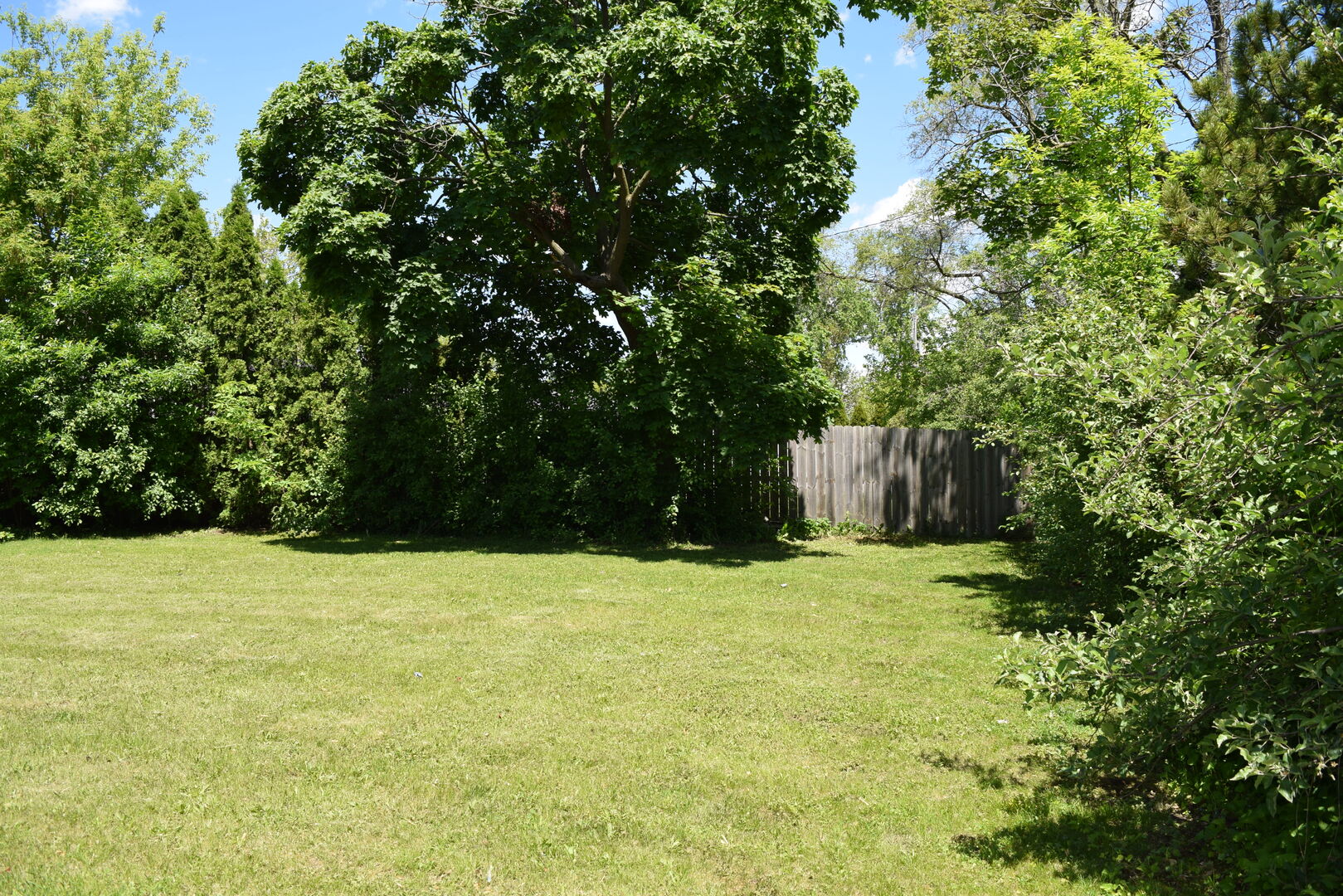 437 Rose Street Property Photo 7