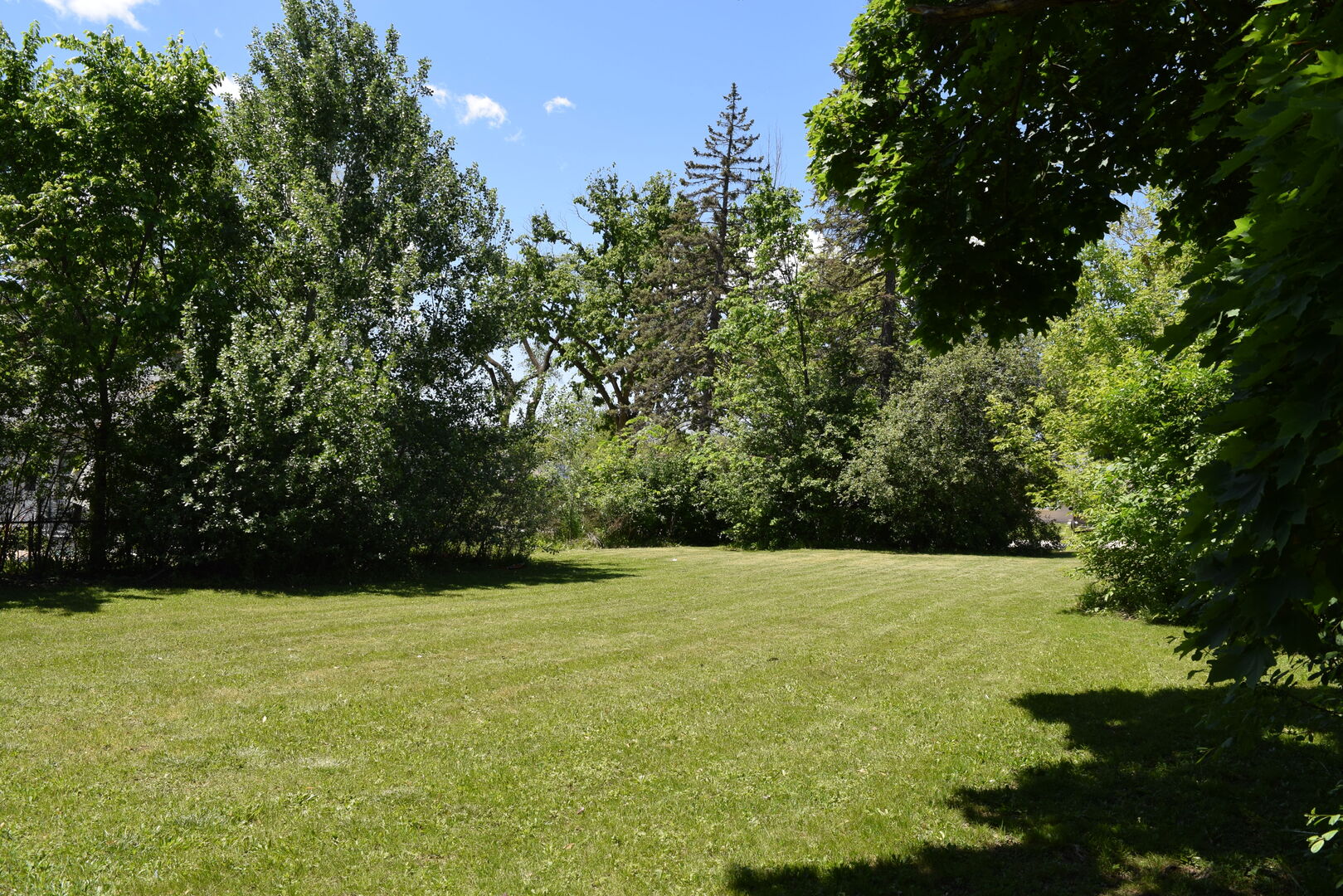 437 Rose Street Property Photo 8