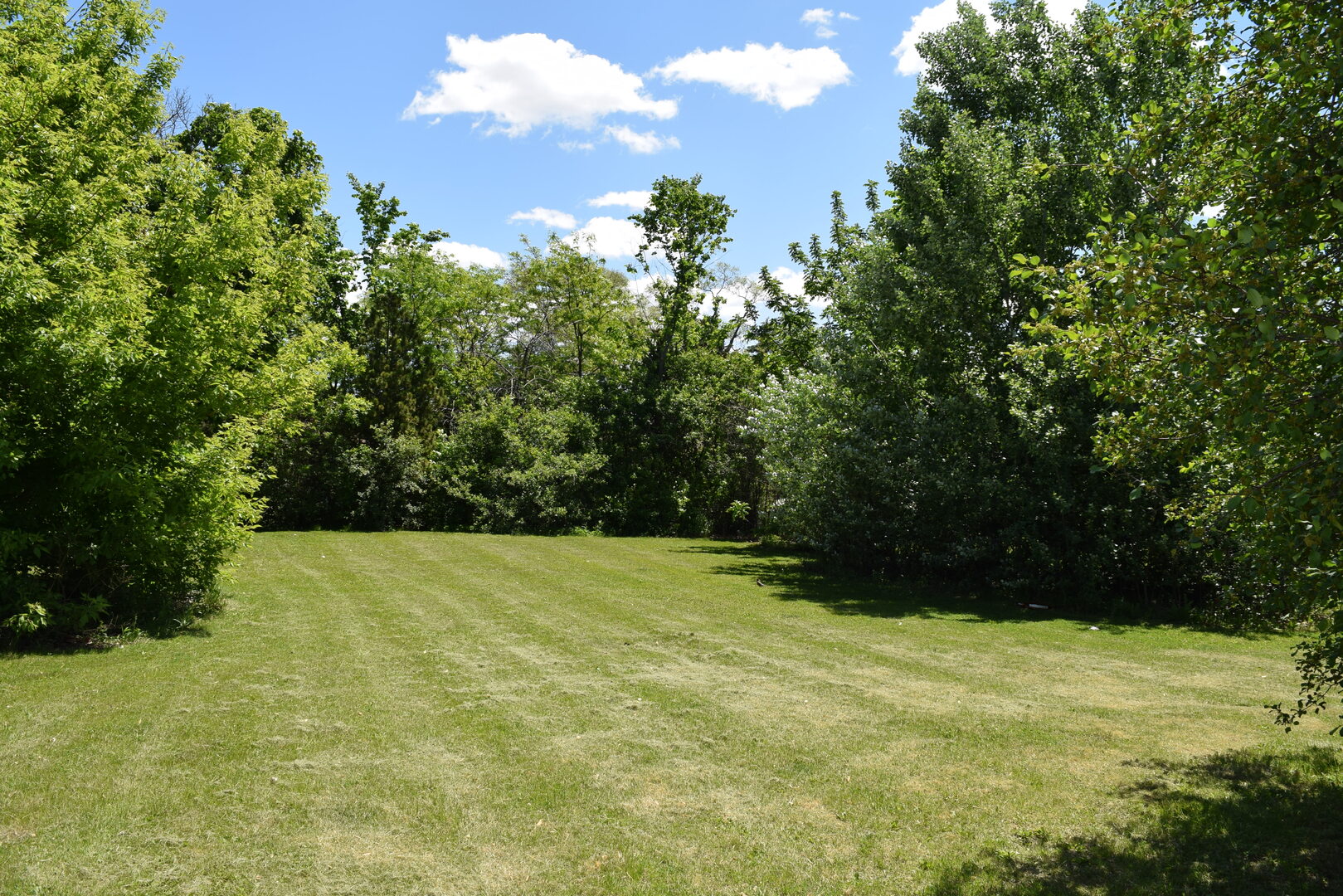 437 Rose Street Property Photo 9