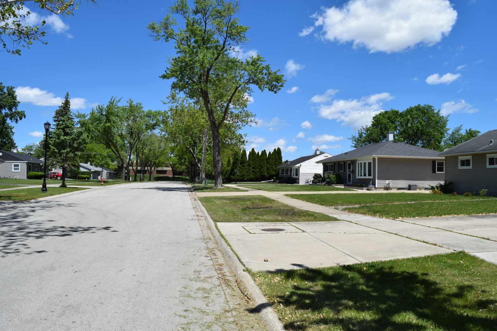 437 Rose Street Property Photo 12