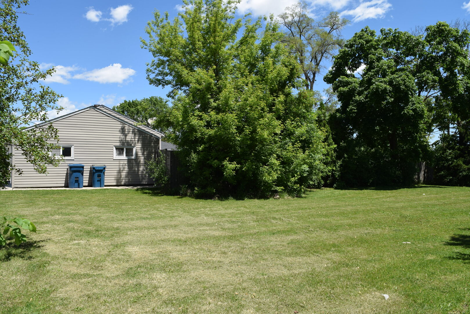 437 Rose Street Property Photo 16