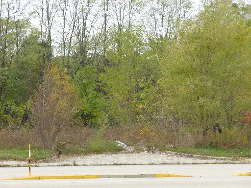 178 W Lake Street Property Photo 4