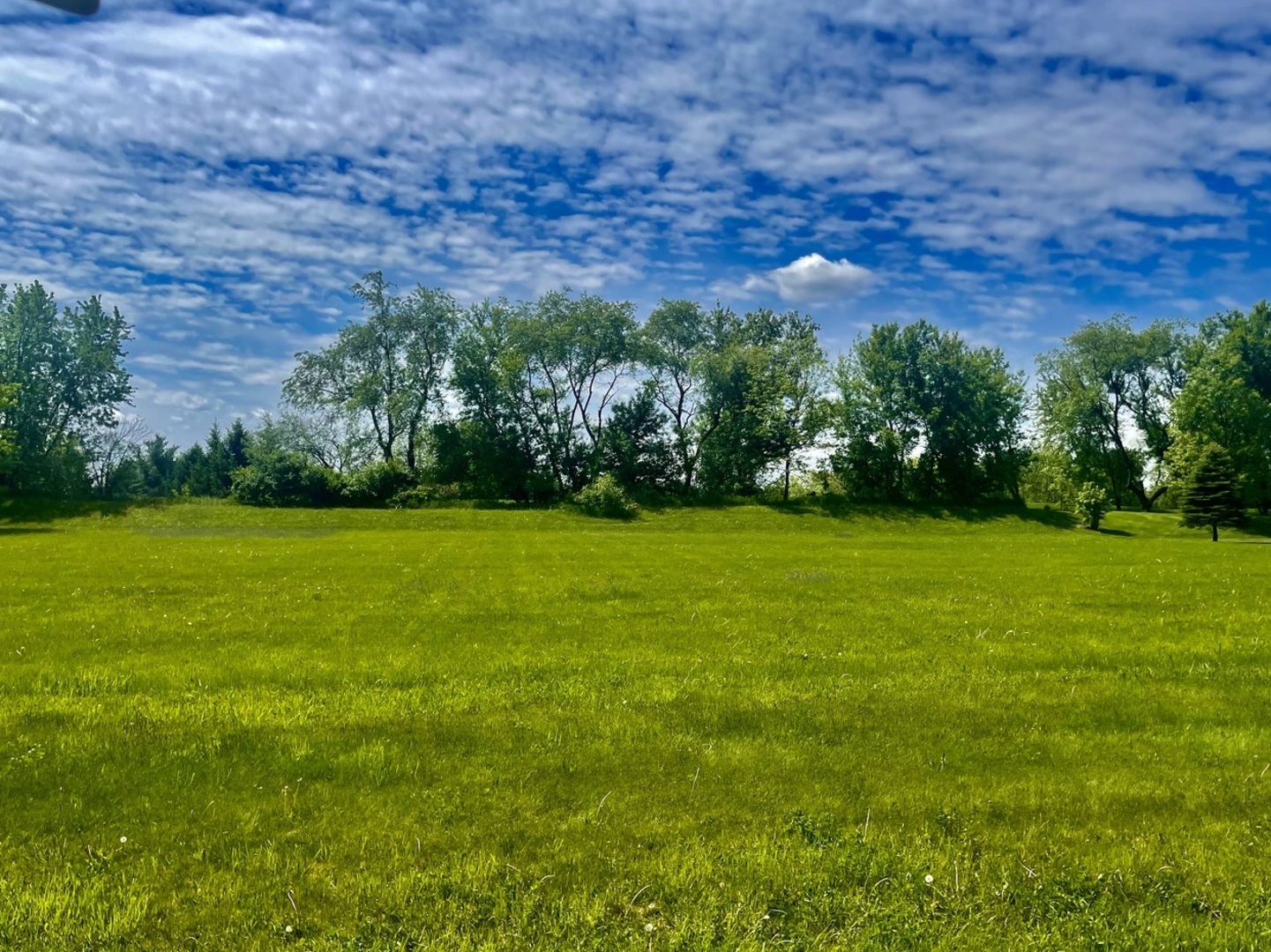 5205 Kaylins Way Property Photo 1