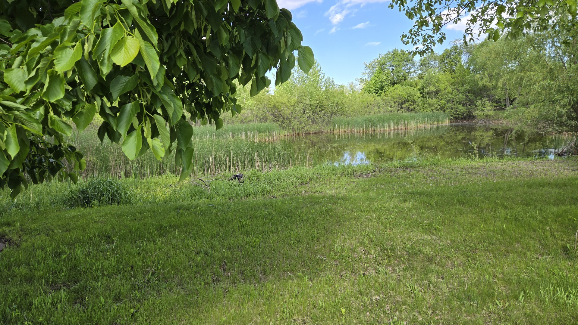 Lot 5 Anthony Court Property Photo 3