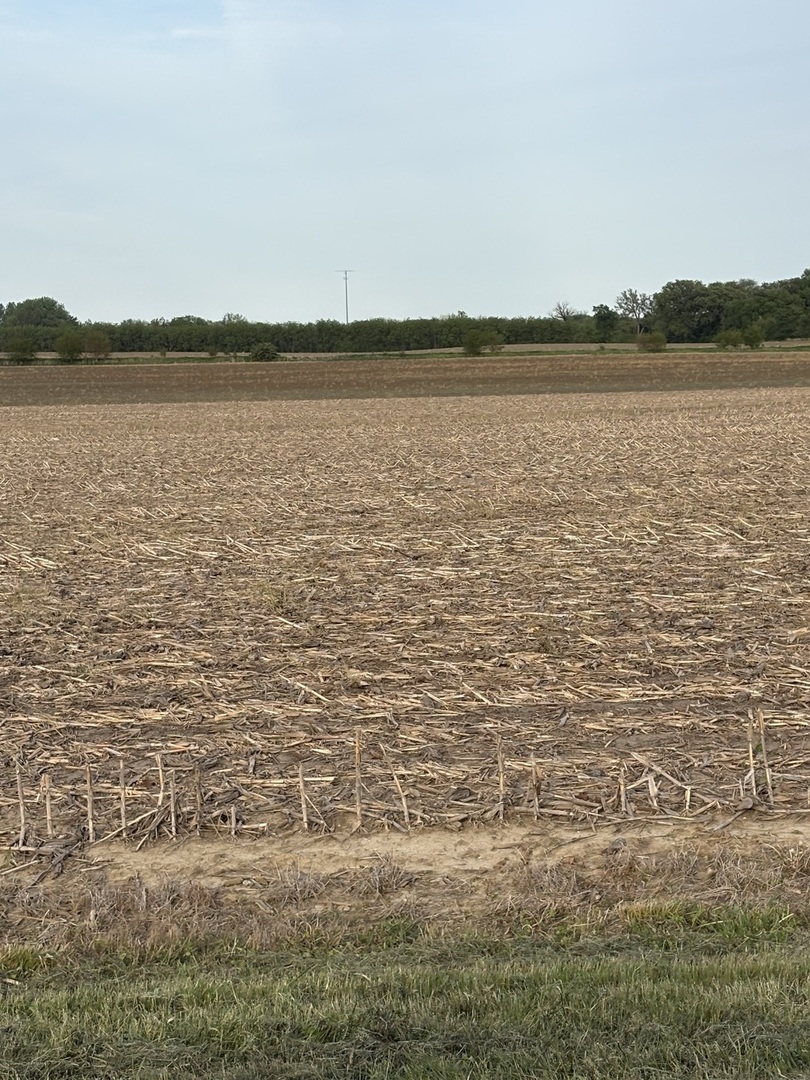 0000 Walsh Road Property Photo 1