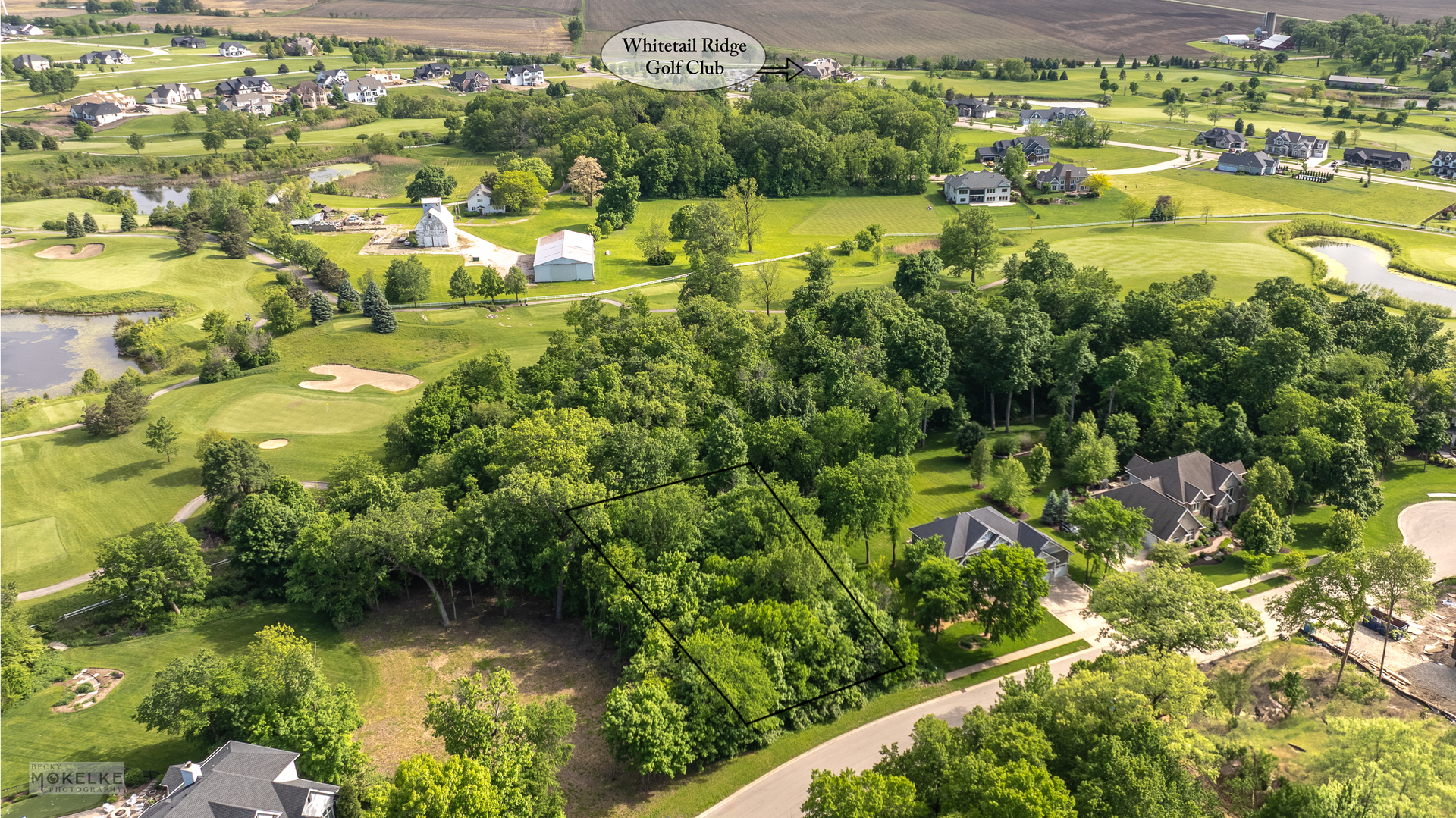7154 Ironwood Court Property Photo 4