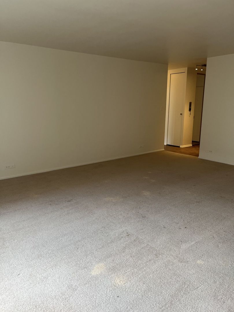 777 N Michigan Avenue 3308 Property Photo 2