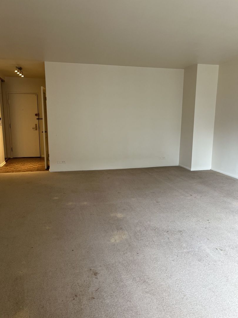 777 N Michigan Avenue 3308 Property Photo 3