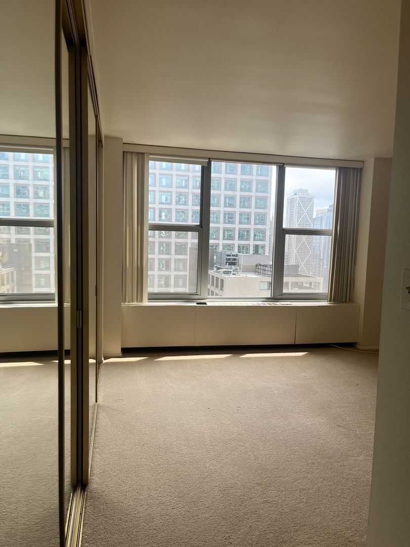777 N Michigan Avenue 3308 Property Photo 10