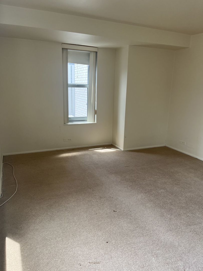777 N Michigan Avenue 3308 Property Photo 11