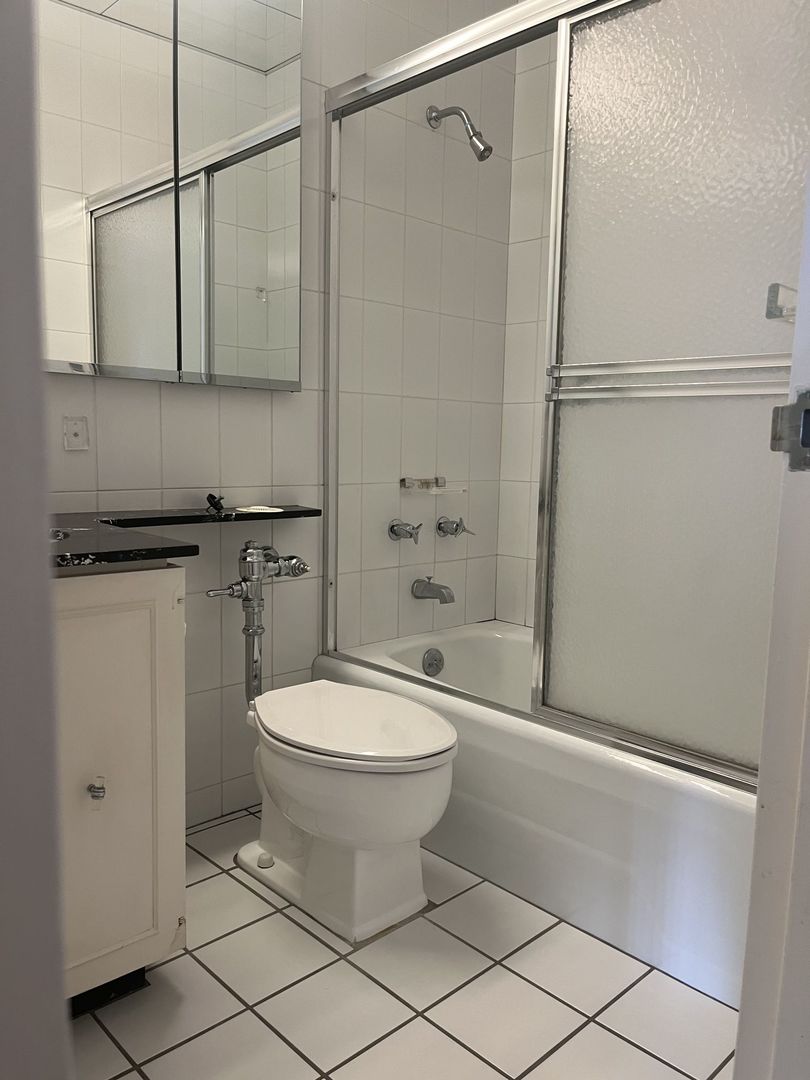 777 N Michigan Avenue 3308 Property Photo 13