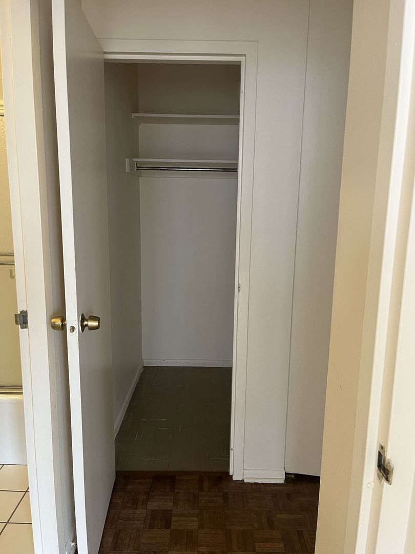 777 N Michigan Avenue 3308 Property Photo 15