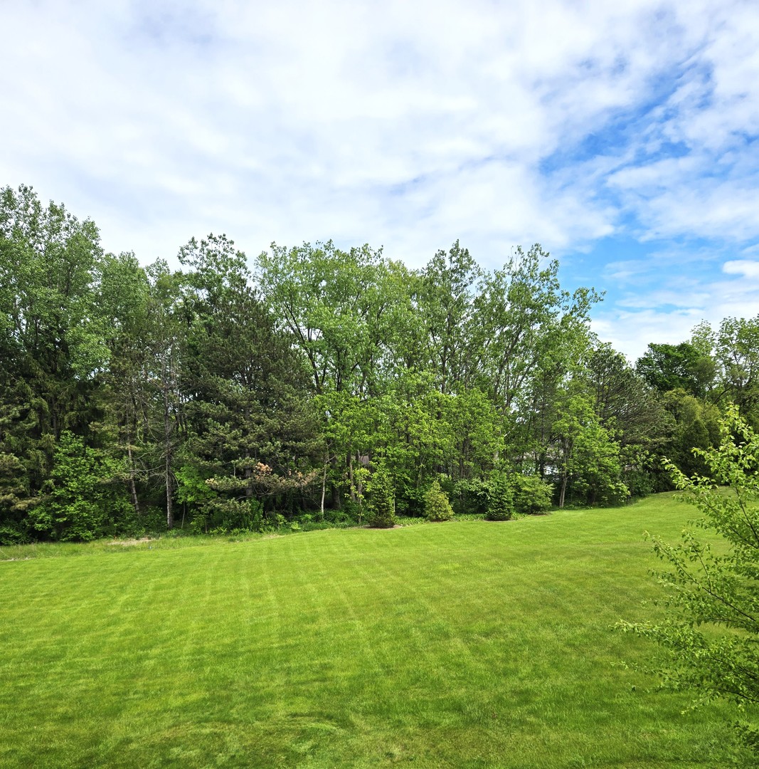 5816 Wild Plum Road Property Photo 31
