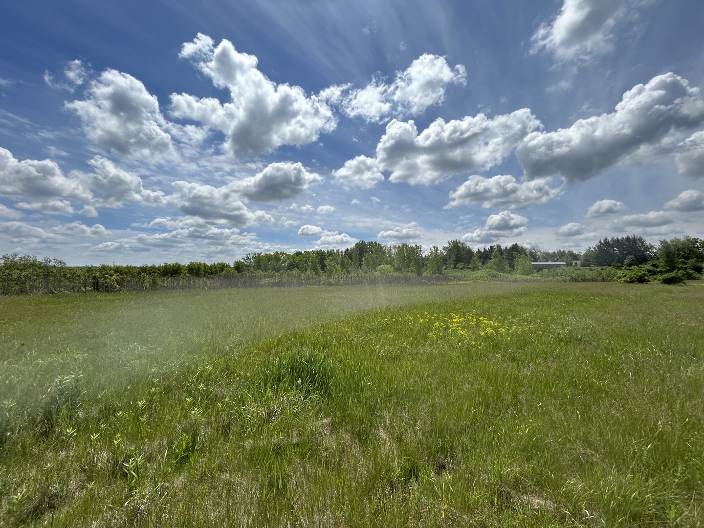7514 Glacier Lake Way Property Photo 5