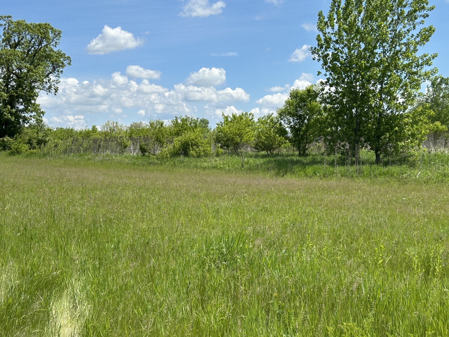 7514 Glacier Lake Way Property Photo 6