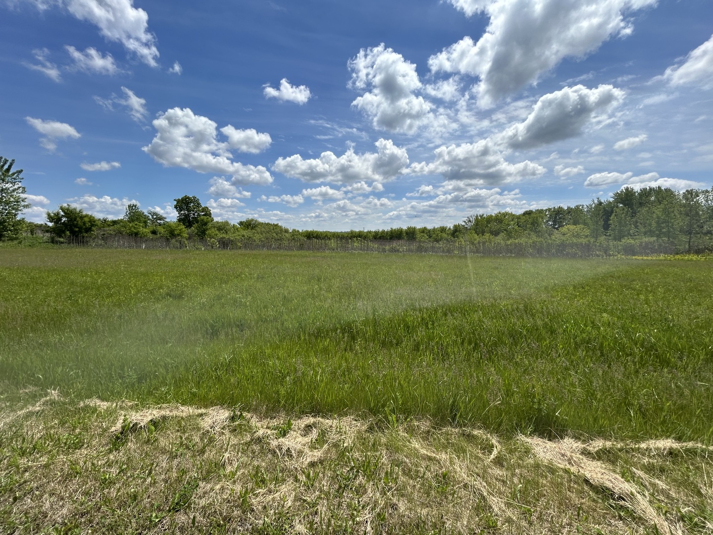 7514 Glacier Lake Way Property Photo 8