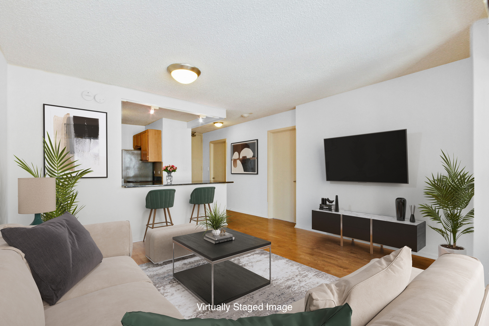 30 E Huron Street 2008 Property Photo 4
